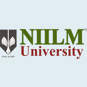 NIILM University